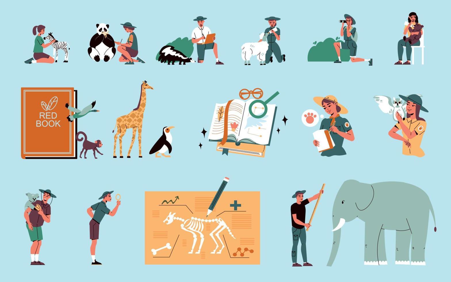 Zoologist Color Set vector