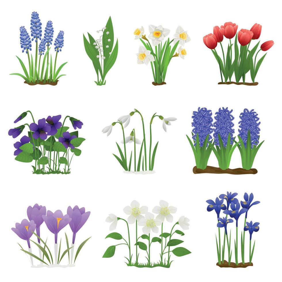 Spring Flowers Flat Set vector