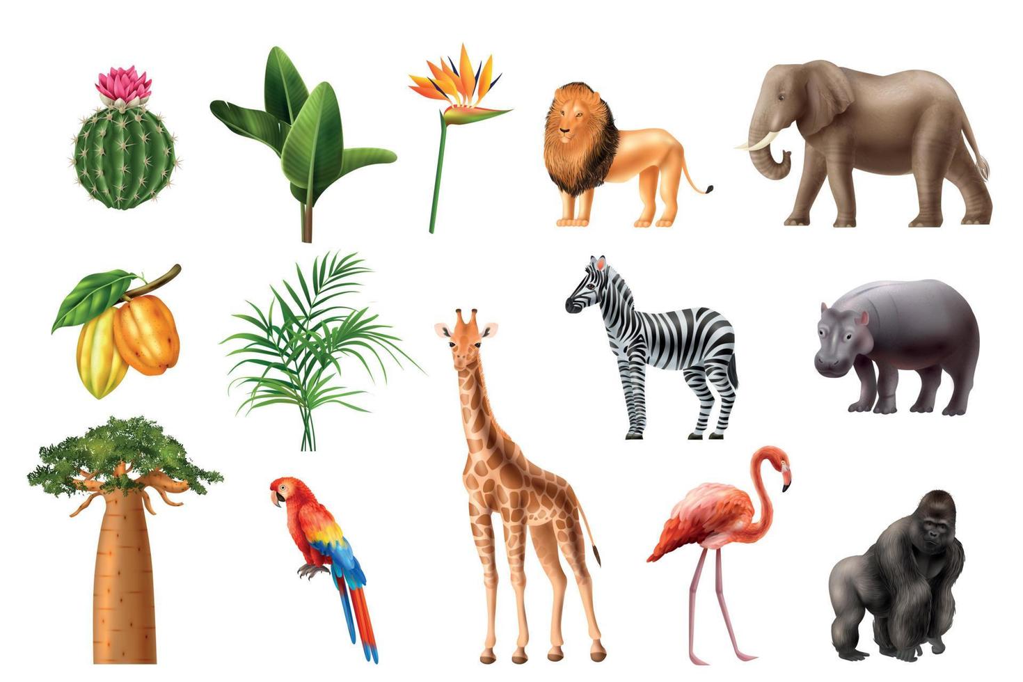 African Birds Flora Set vector