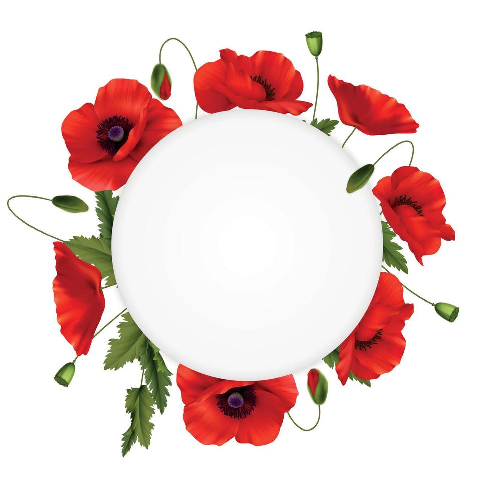 Red Poppies Flowers Realistic Frame vector