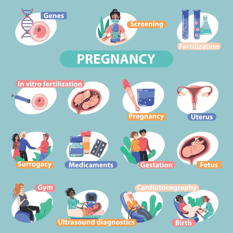 infografías planas de fertilidad de embarazo vector