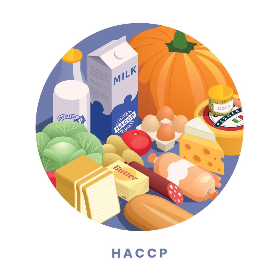 concepto de seguridad alimentaria haccp vector
