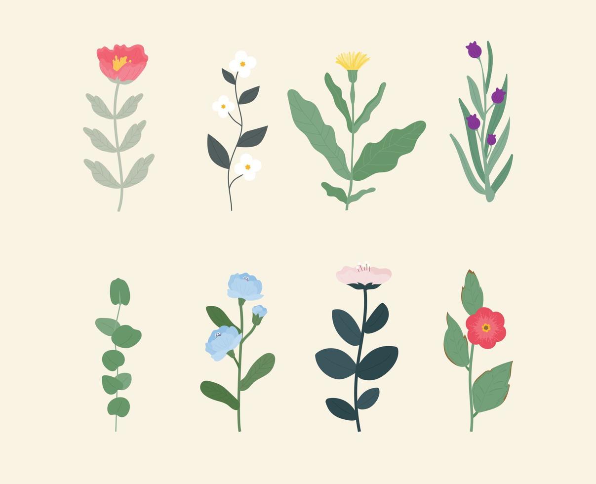 varios tipos de flores. hay muchas hojas colgando del tallo de la flor. vector