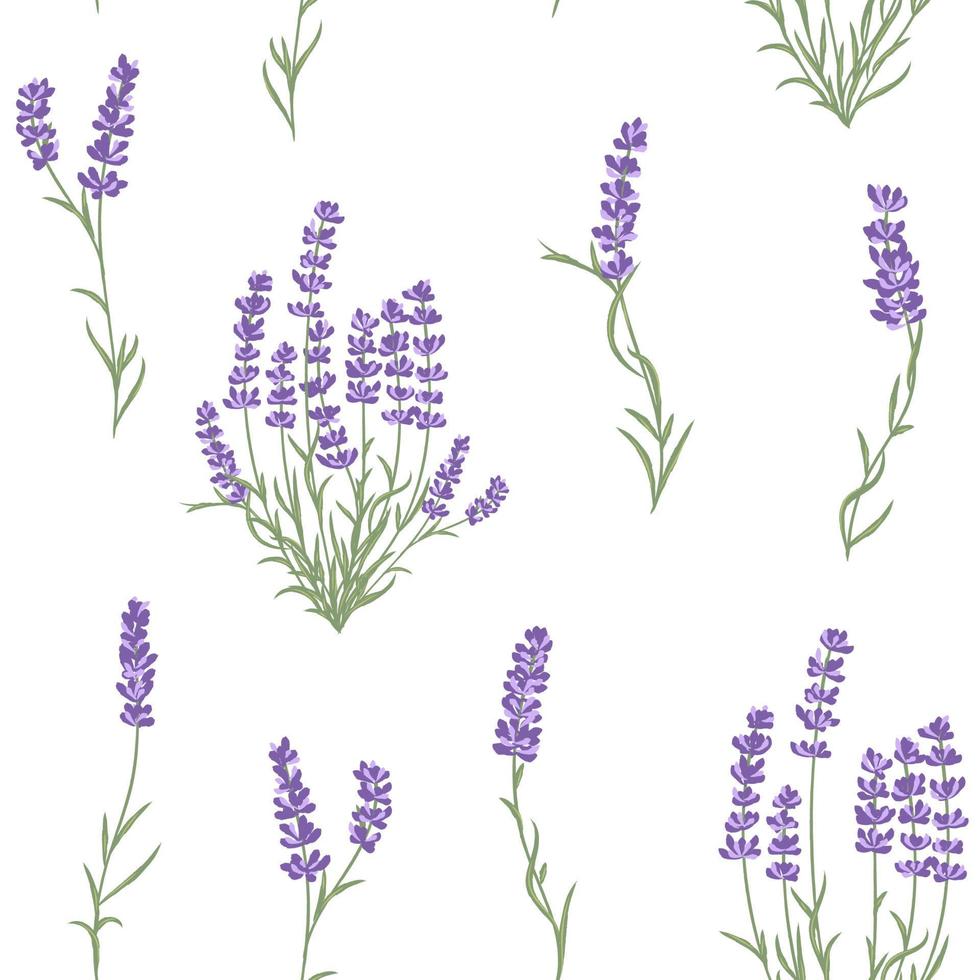 Fresh cut fragrant lavender plant flower seamless pattern. vector