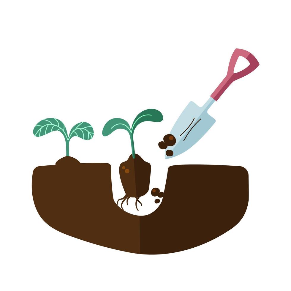 ilustración conceptual de plantar plántulas en el suelo. vector