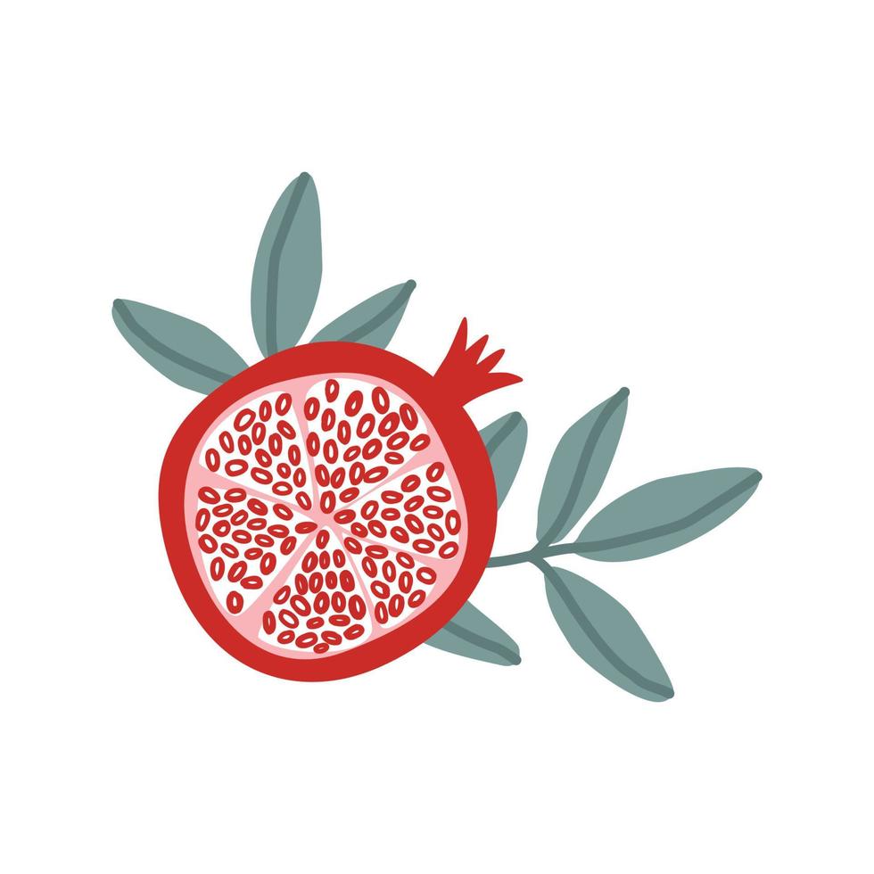 conjunto de ilustraciones vectoriales de frutas y semillas de granada sobre fondo blanco. eps en alta resolución para diseño floral. elementos aislados. diseño para cosméticos, spa, belleza vector