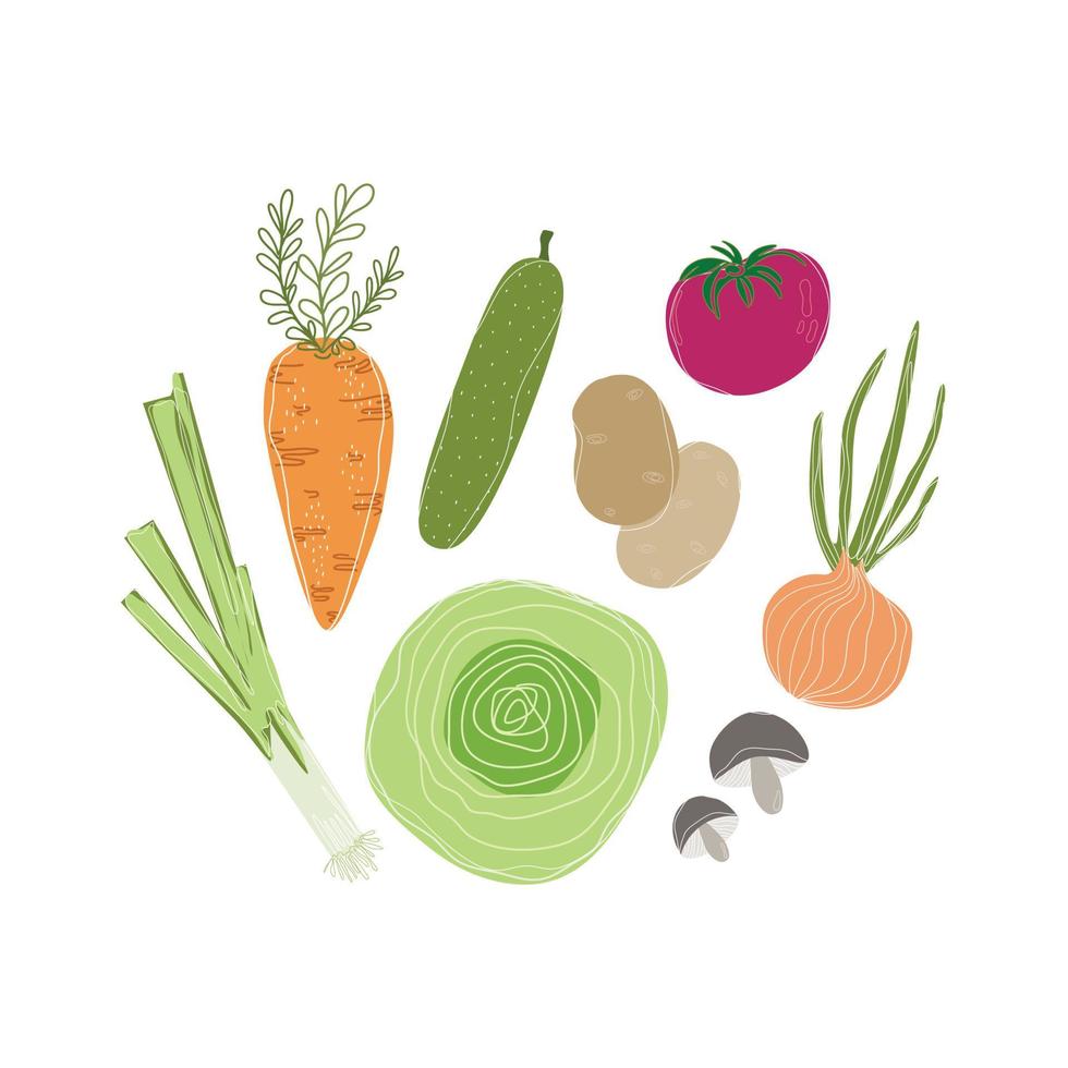 conjunto de alimentos naturales, frutas y verduras orgánicas. artículos de tiendas departamentales. zanahoria, pepino, col, patata, tomate, cebolla, champiñones y puerro. ilustración plana sencilla. vector