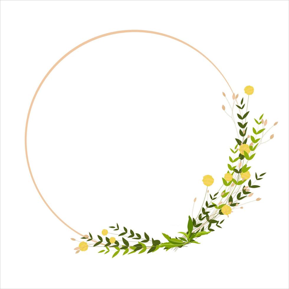 Spring frame of yellow wildflowers. Easter circle template. Yellow ball of craspedia . Summer wreath vector stock illustration. Isolated on a white background.