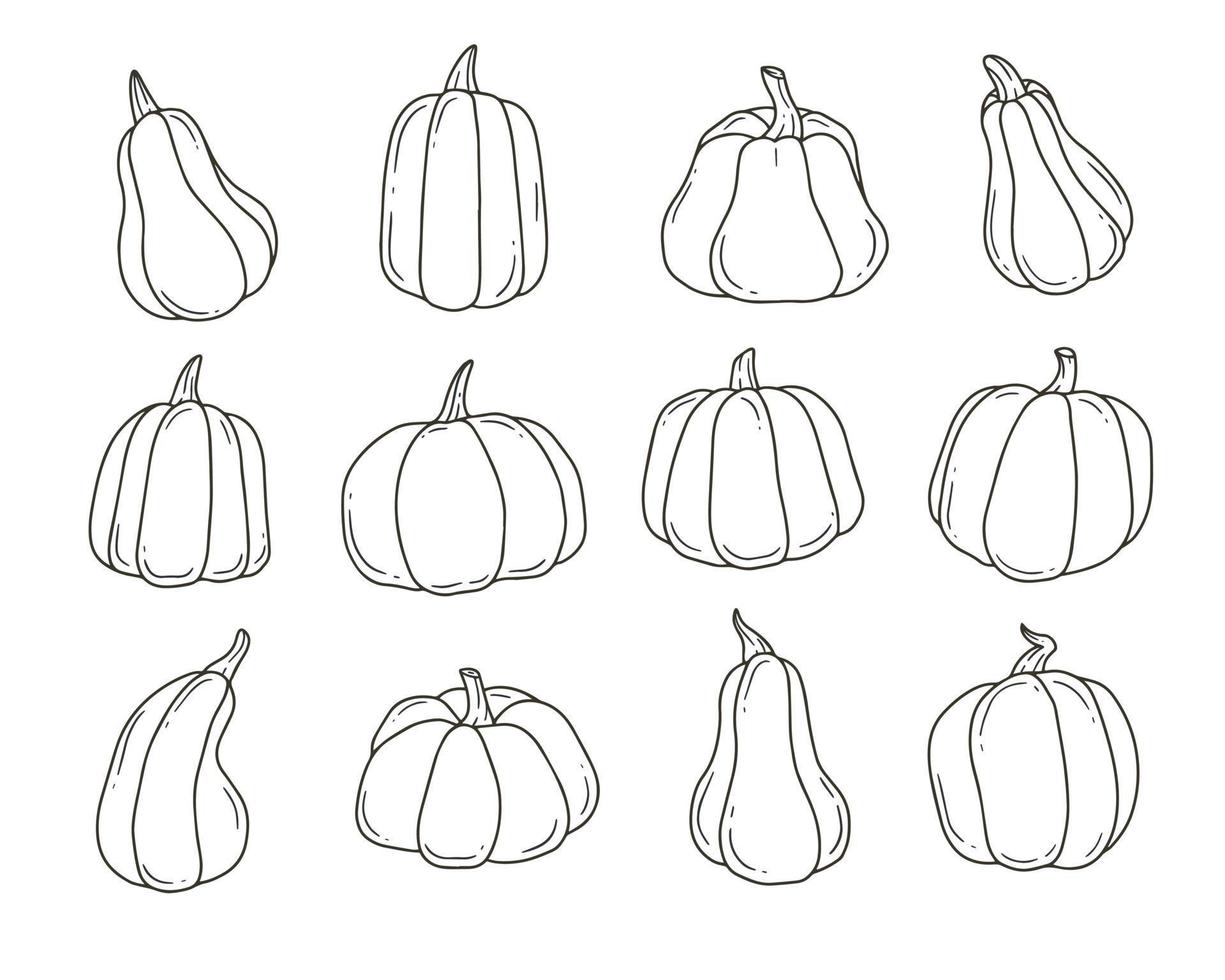 Black and white pumpkin cartoon doodle set. Contour cute vector illustration isolated on background.