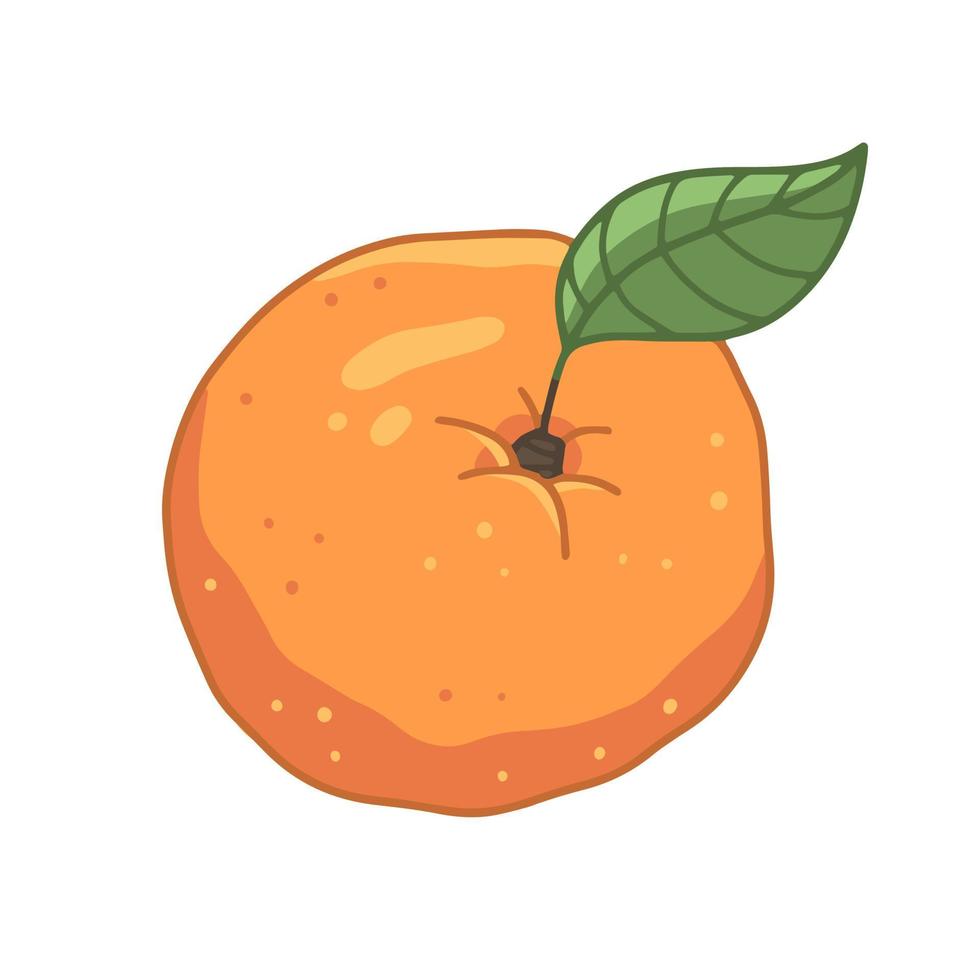 Orange with a leaf in cartoon style. Vector isolated illustration.