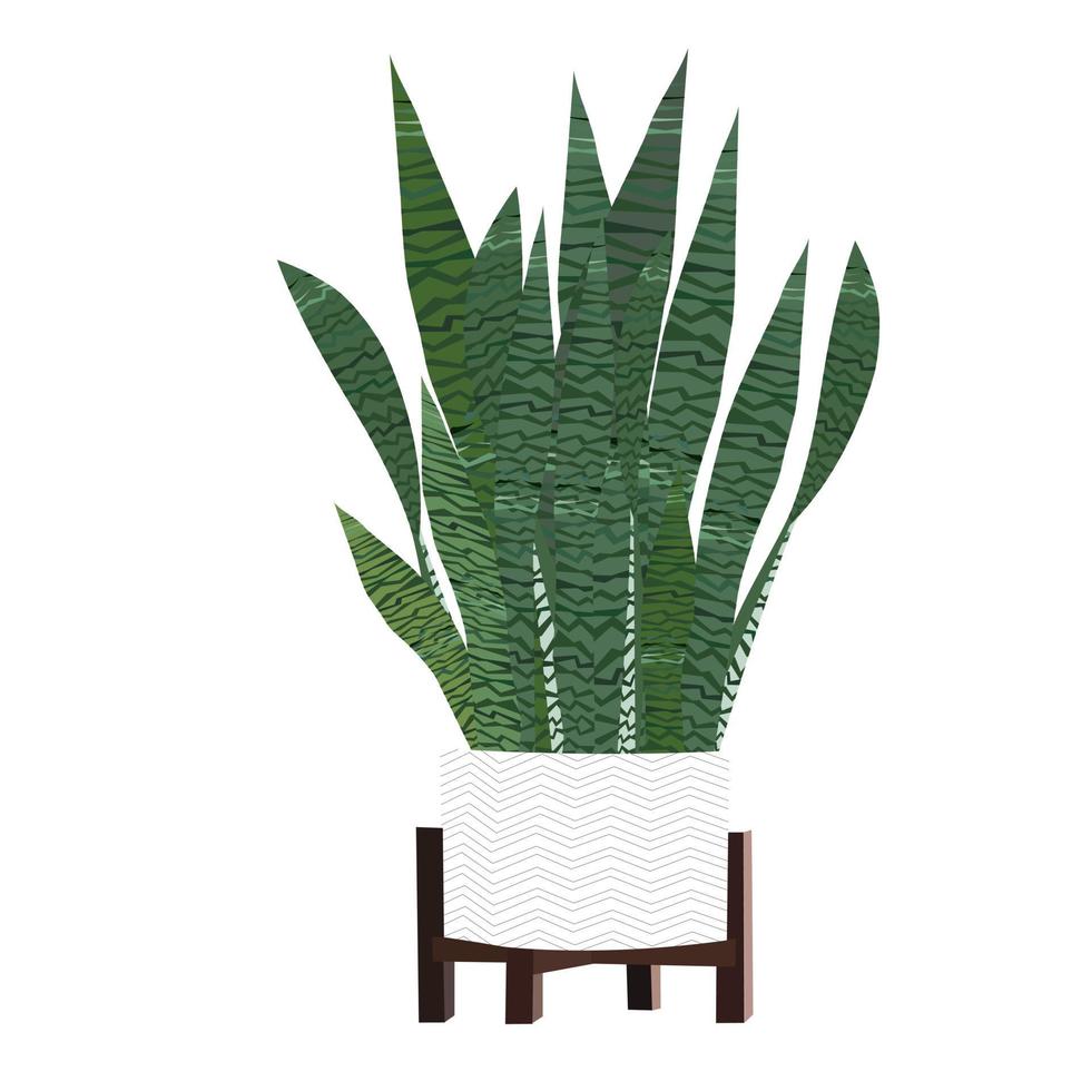 Plant on pottery. vector