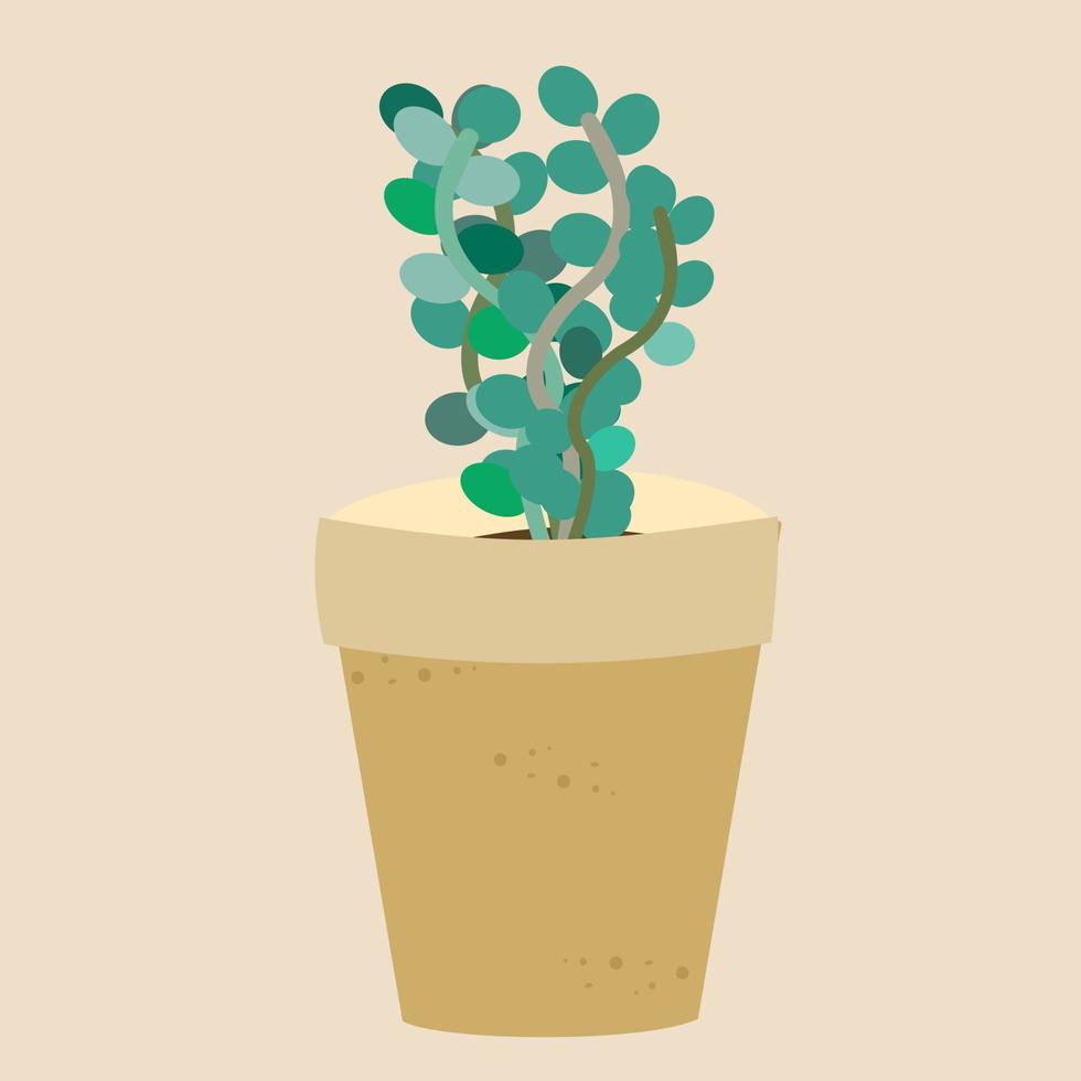 Plant on pottery. vector