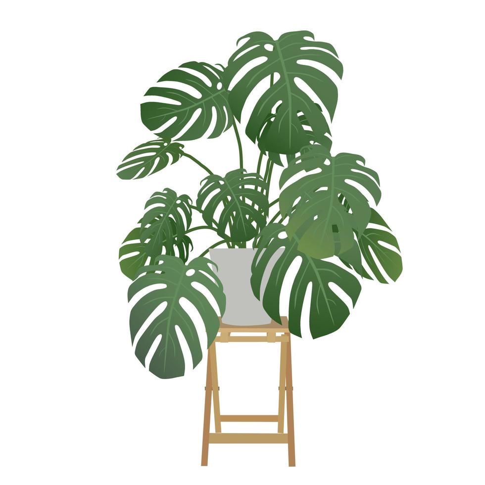 Monstera on pottery. vector