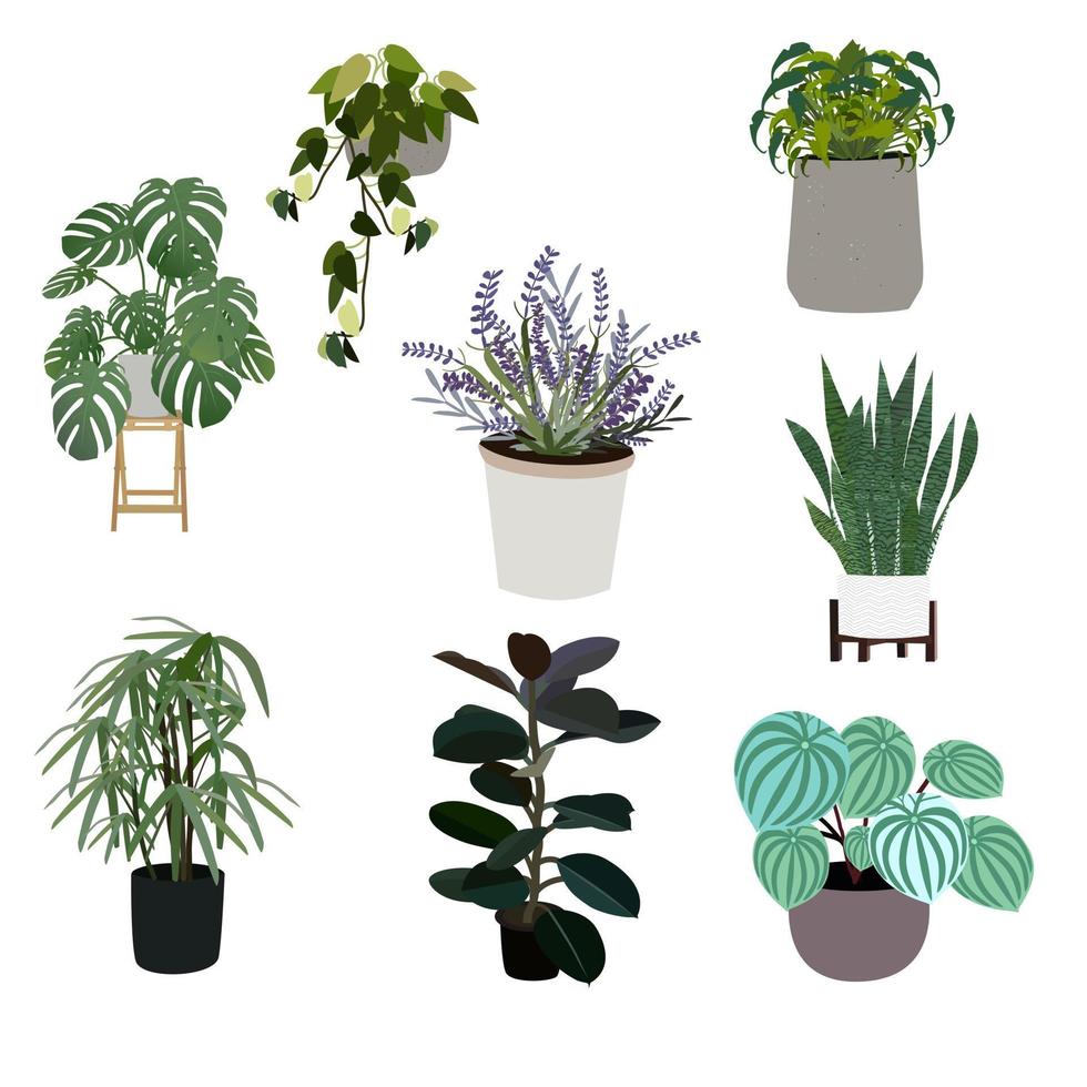 Set of plants. vector