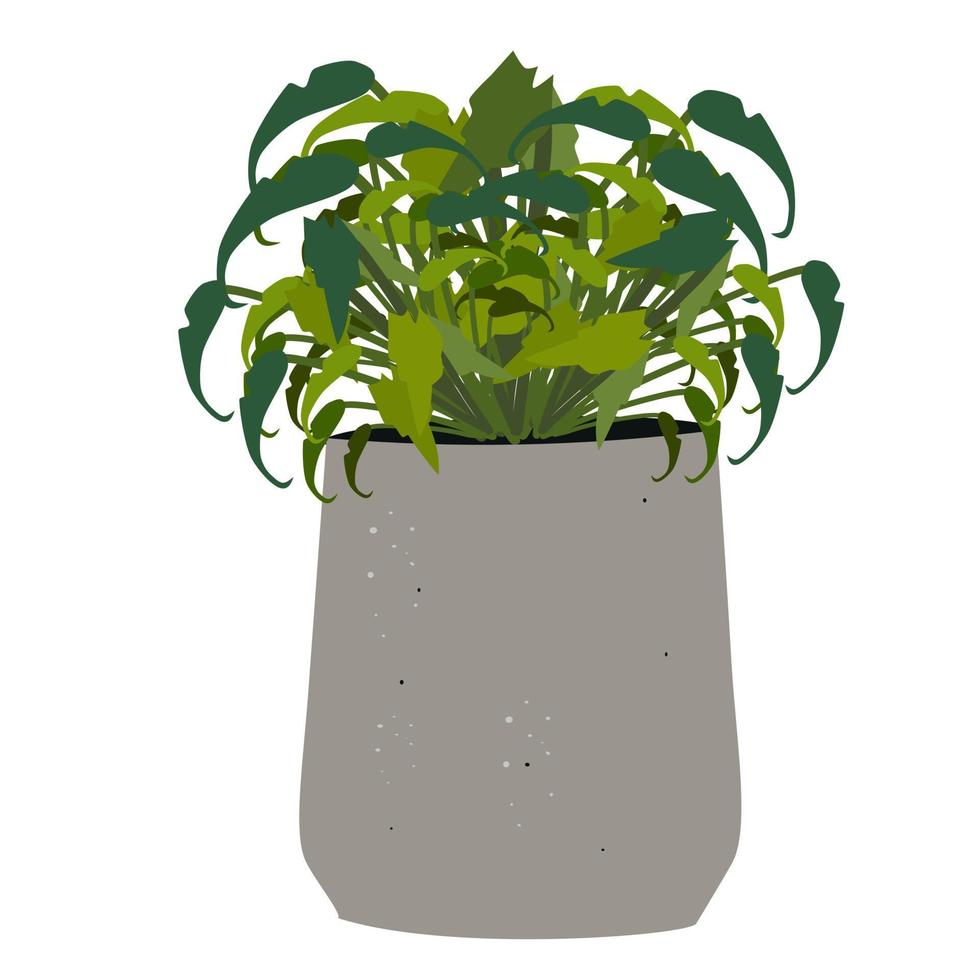 Plant on pottery. vector