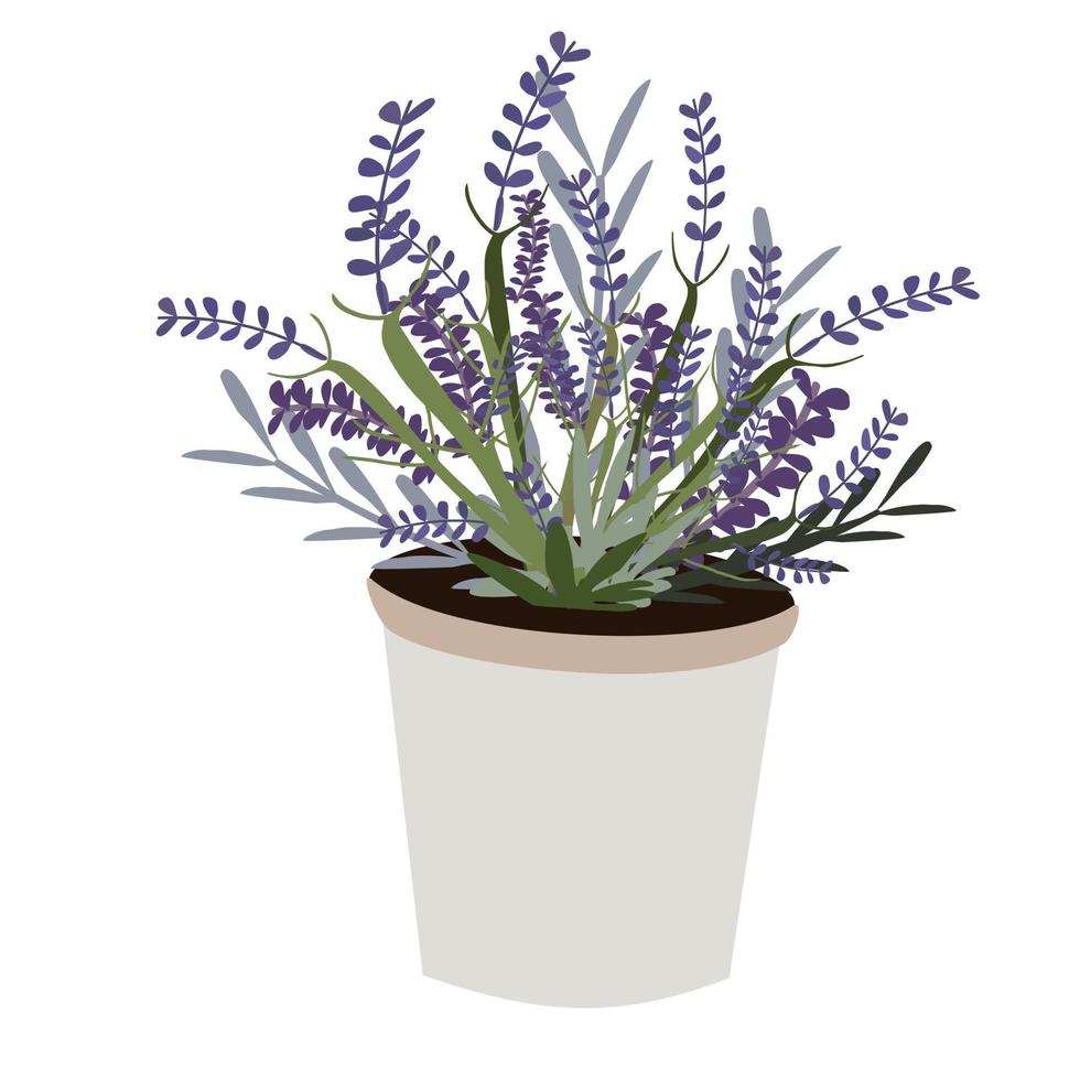 Rosemary on pottery. vector