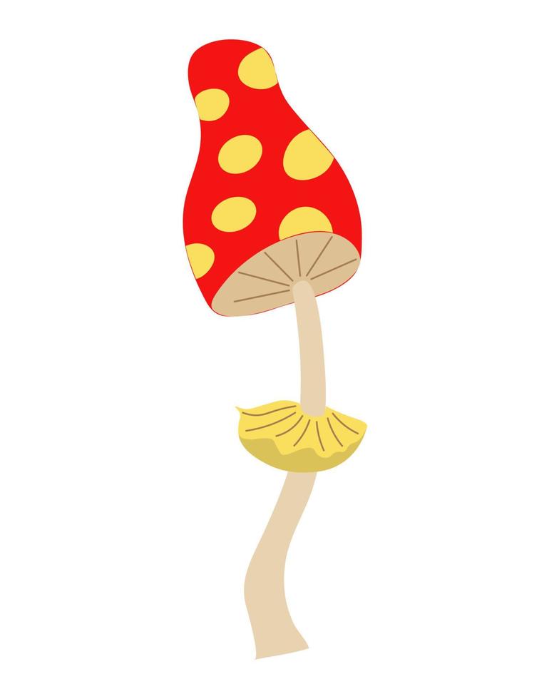 Muhamor on an isolated background. Hallucinogenic mushroom toadstool. Autumn couple. Inedible mushroom. Logo, badge or flyer design. Flat illustration. vector