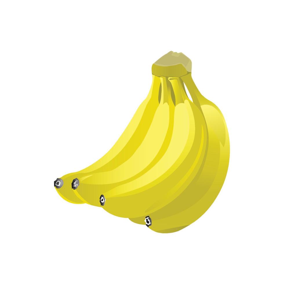 plátano vectorial realista bueno para el catálogo de alimentos, catálogo de frutas, etc. vector
