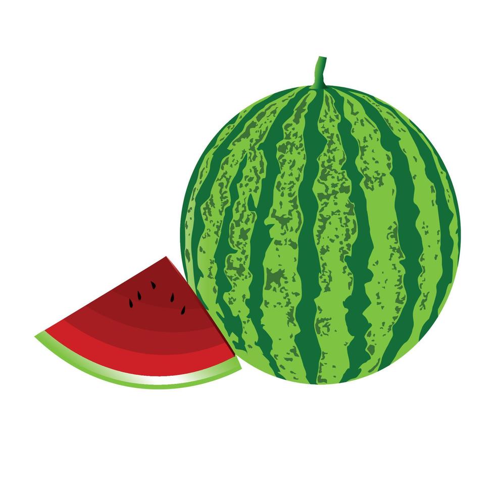 ilustración vectorial de sandía buena para catálogo de frutas, exhibición de frutas, impresión, etc. vector