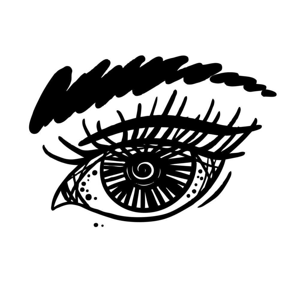 Female eye with eyelashes and eyebrows, black and white vector sketch.