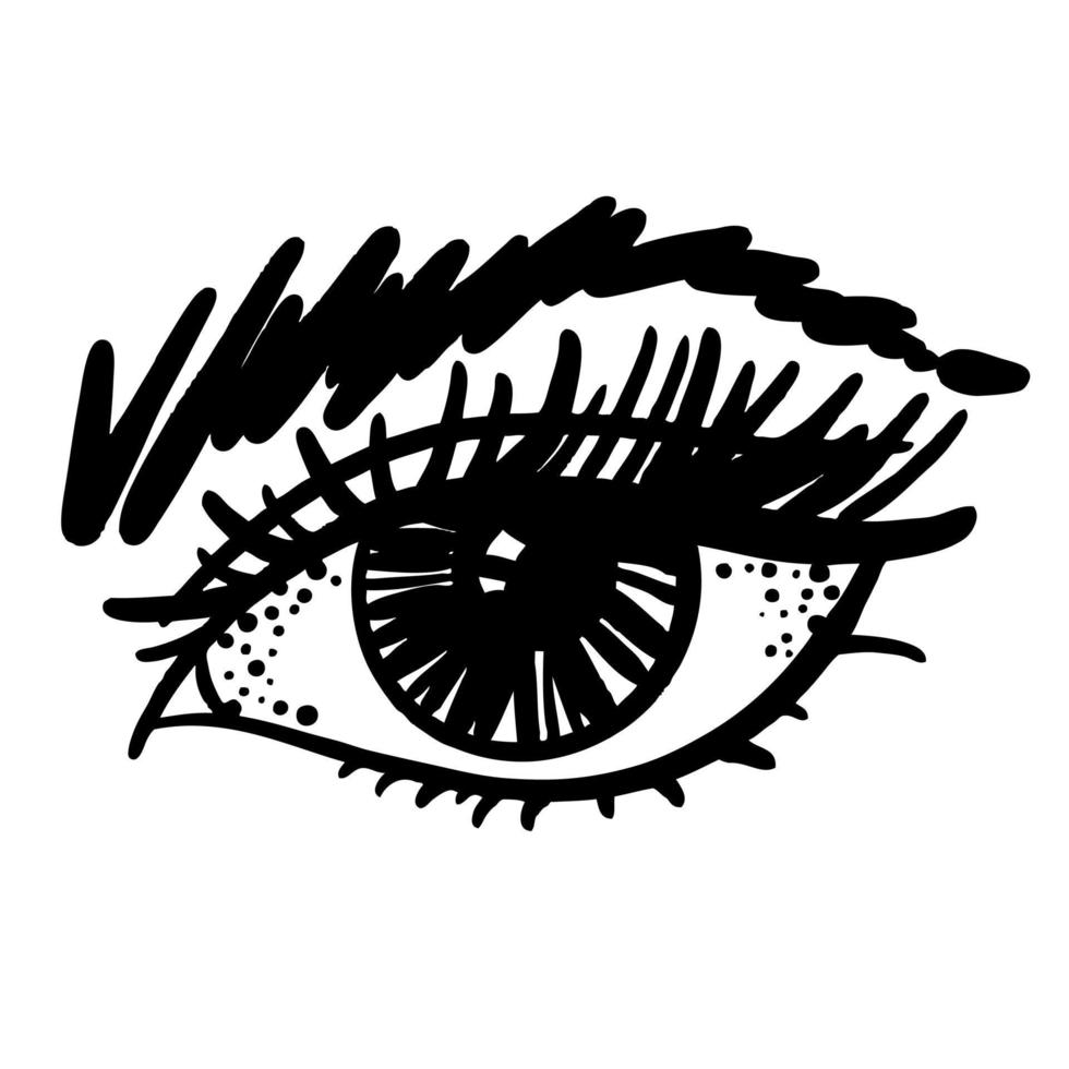 Female eye with eyelashes and eyebrows, black and white vector sketch.