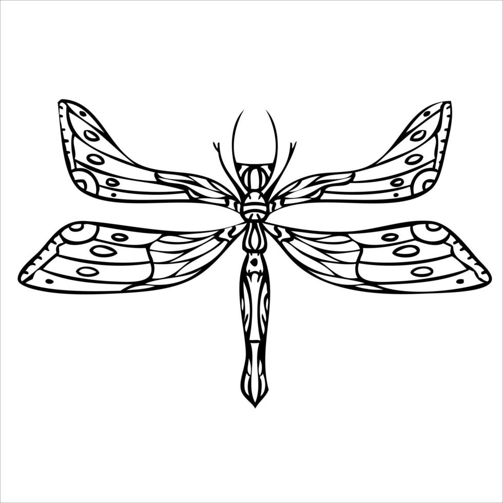 Dragonfly hand drawn illustration. Black and white background. vector