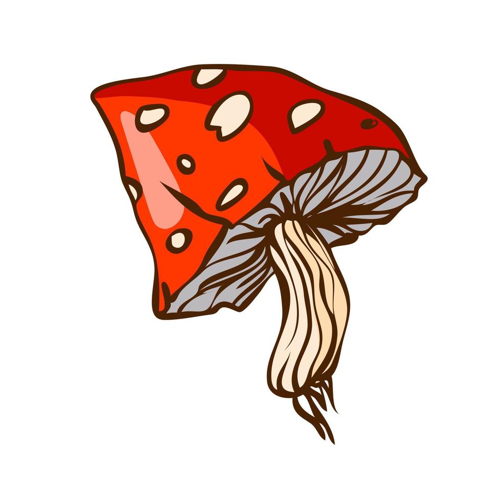 Large red forest mushroom fly agaric. Vector illustration in hand drawn style.