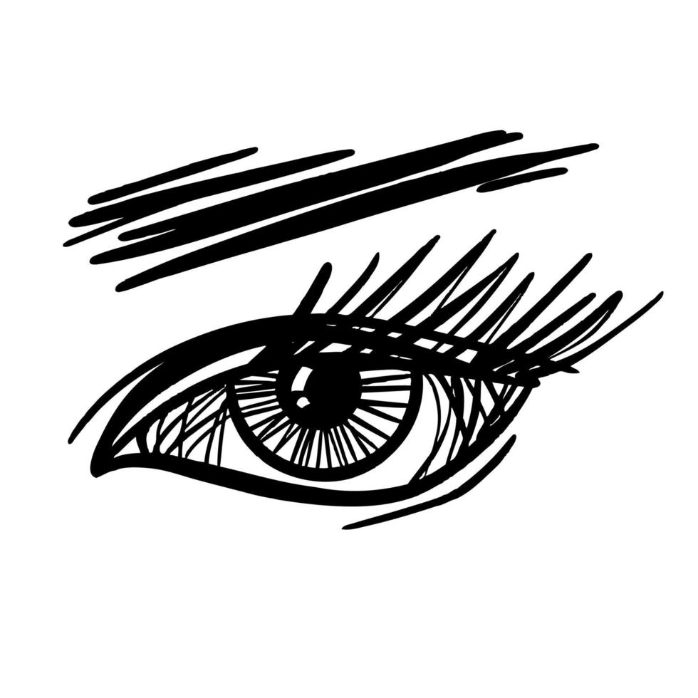 Female eye with eyelashes and eyebrows, black and white vector sketch.