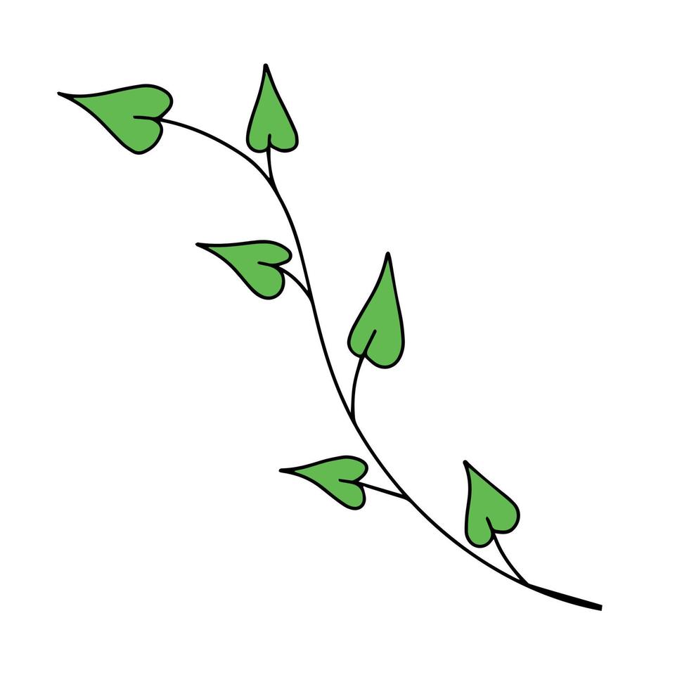 hoja verde natural fresca coloreada con trazo. ilustración vectorial en estilo dibujado a mano. vector