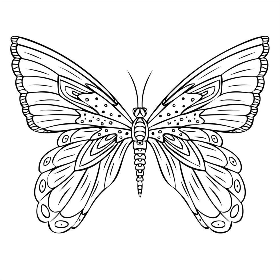 Butterfly for coloring book. Hand drawn illustration. Black and white background. vector