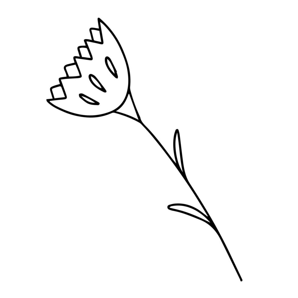 Delicate black and white sketch of a spring flower. Vector illustration in hand drawn style.