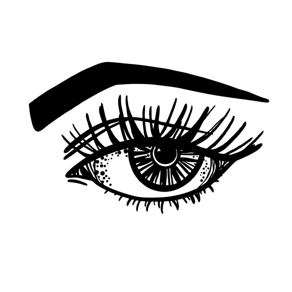 Female eye with eyelashes and eyebrows, black and white vector sketch.