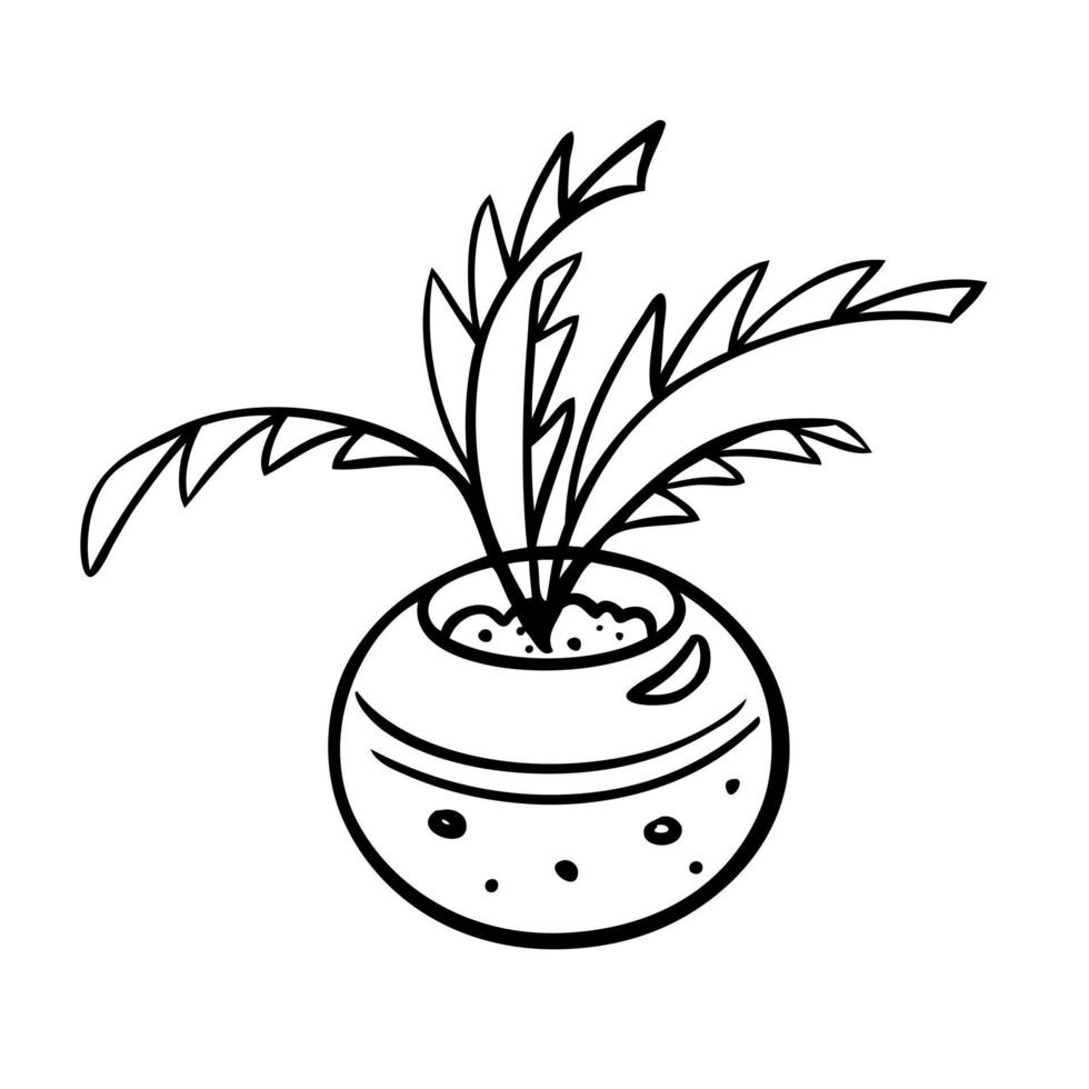 ilustración vectorial de una flor en una maceta y boceto dibujado a mano sobre un fondo blanco vector