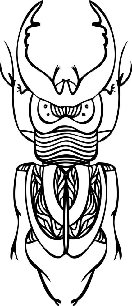 Beetle black and white line vector illustrations. Hand drawing style.