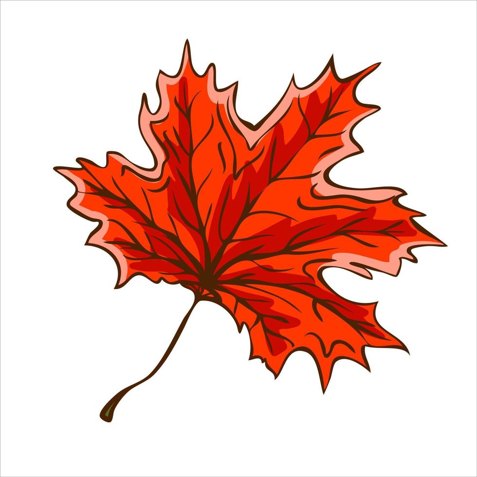 Red autumn maple leaf. Harvest concept. Vector illustration.