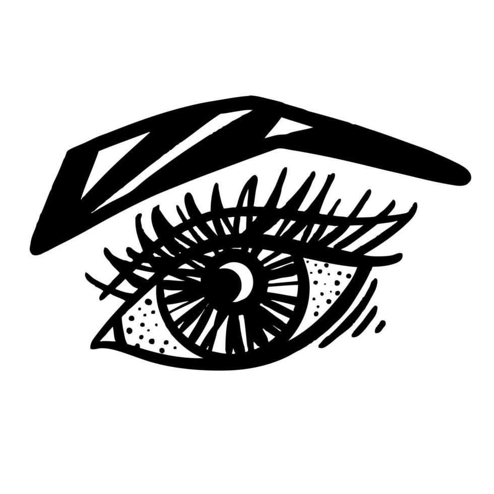 Female eye with eyelashes and eyebrows, black and white vector sketch.