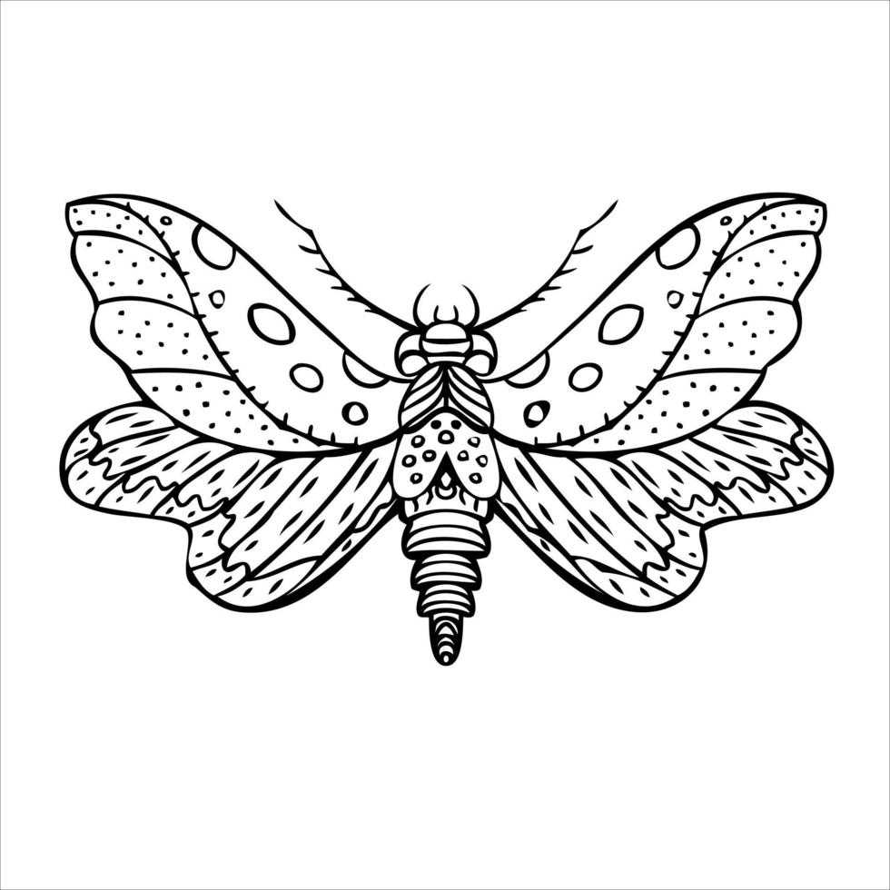 mariposa nocturna, polilla. ilustración dibujada a mano. fondo blanco y negro. vector