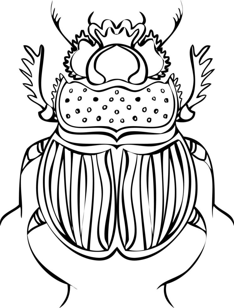 Beetle black and white line vector illustrations. Hand drawing style.