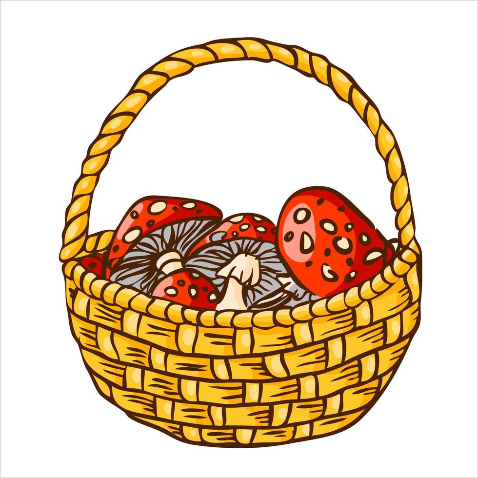 Autumn basket with ripe red fly agarics in rustic style. Witch harvest halloween concept. Vector illustration