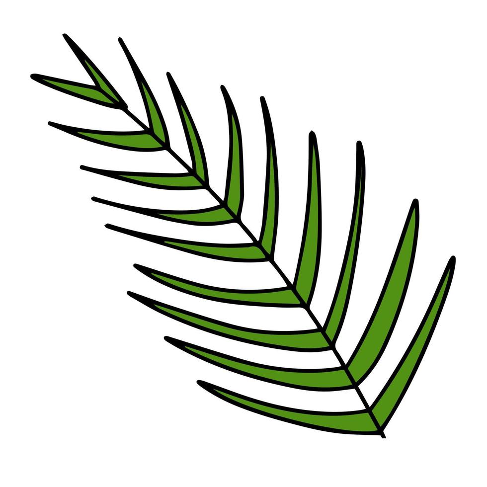 Fresh natural green leaf colored with stroke. Vector illustration in hand drawn style.