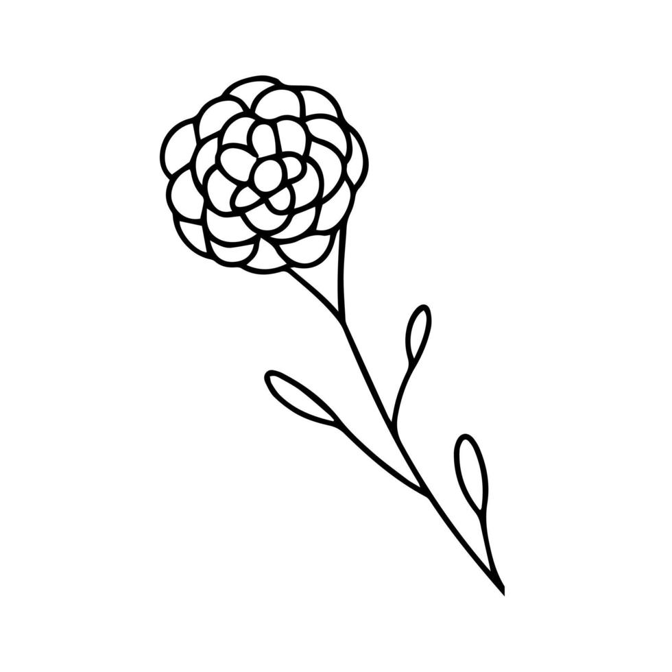 Delicate black and white sketch of a spring flower. Vector illustration in hand drawn style.