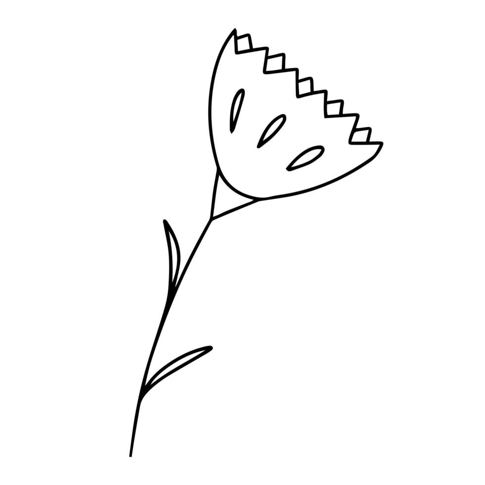 Delicate black and white sketch of a spring flower. Vector illustration in hand drawn style.