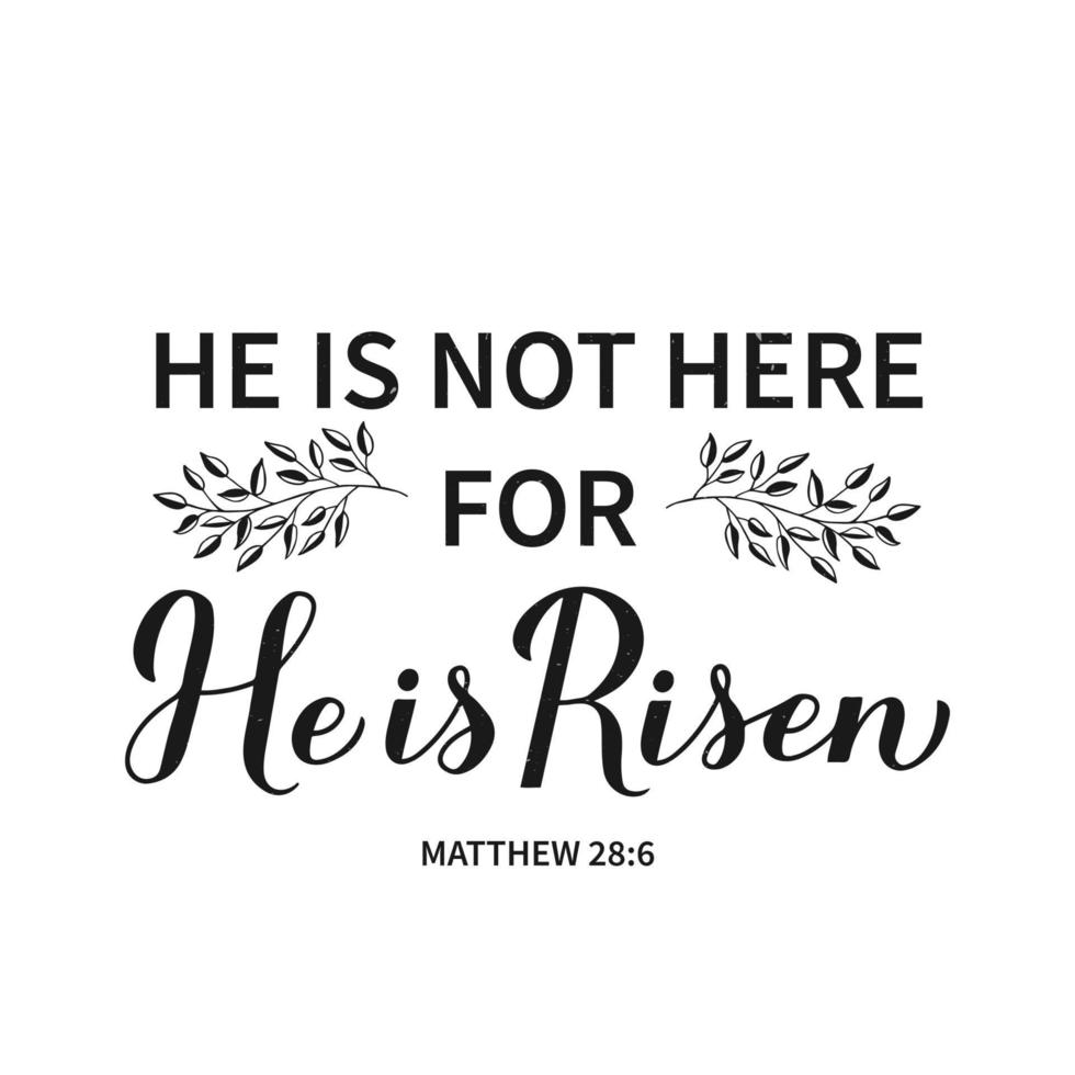 He is risen calligraphy hand lettering. Bible Quote Matthew typography poster. Easy to edit vector template for Easter greeting card, banner, sticker, etc.