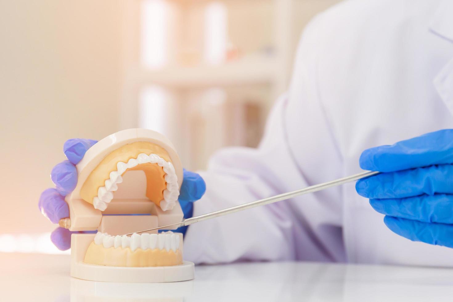 The dentist is introducing the knowledge with denture equipment in the dental clinic on the table. photo