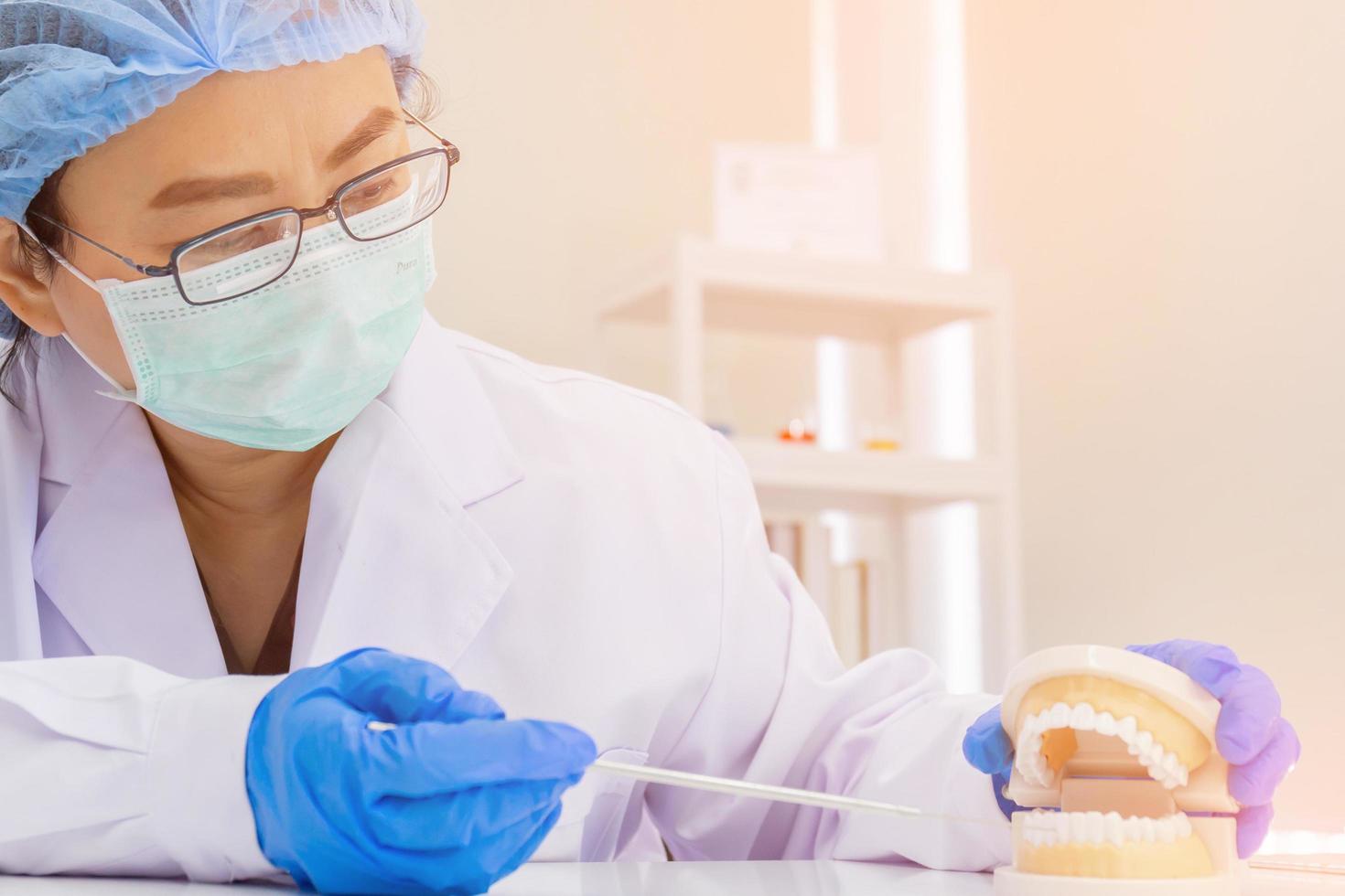 Asian female dentist is introducing knowledge with denture equipment in the dental clinic on the table. photo