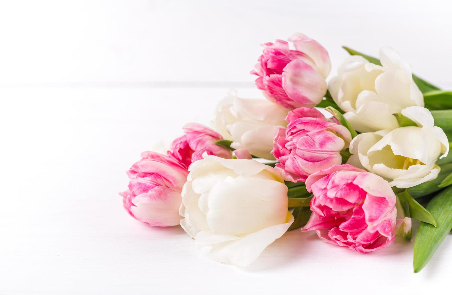 Beautiful tulips on white wooden background. Spring mood photo