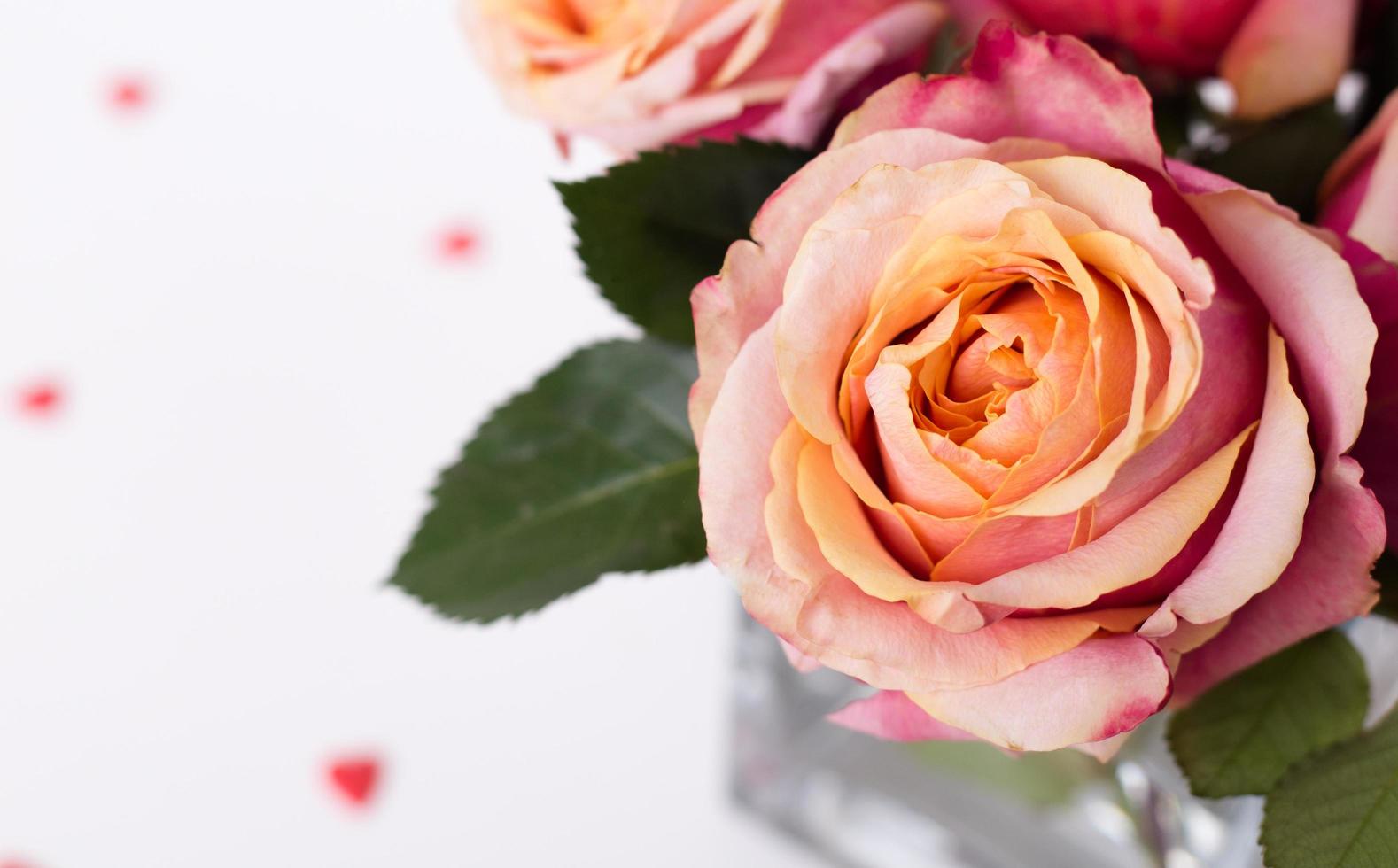 Pink roses and heart shape ornaments on white background photo