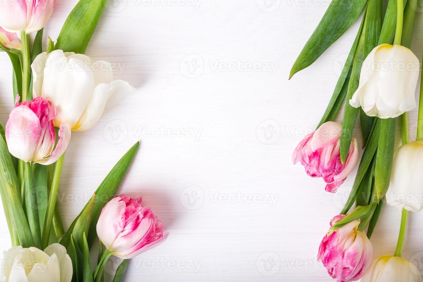 Beautiful tulips on white wooden background. Spring mood photo