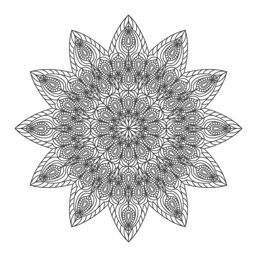elegant and unique mandala vector