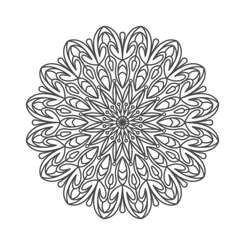 elegant and unique mandala ornaments vector
